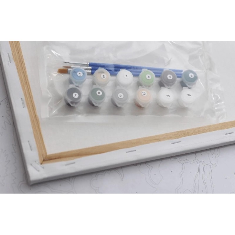 Ideyka Painting by Numbers kit KHO4455 Weightlessness