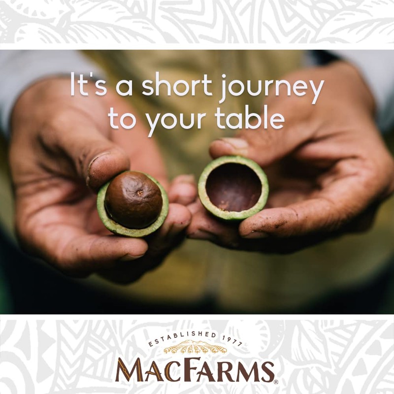 Macadamia Nuts | MacFarms Dry Roasted Macadamia Nuts 24 OZ