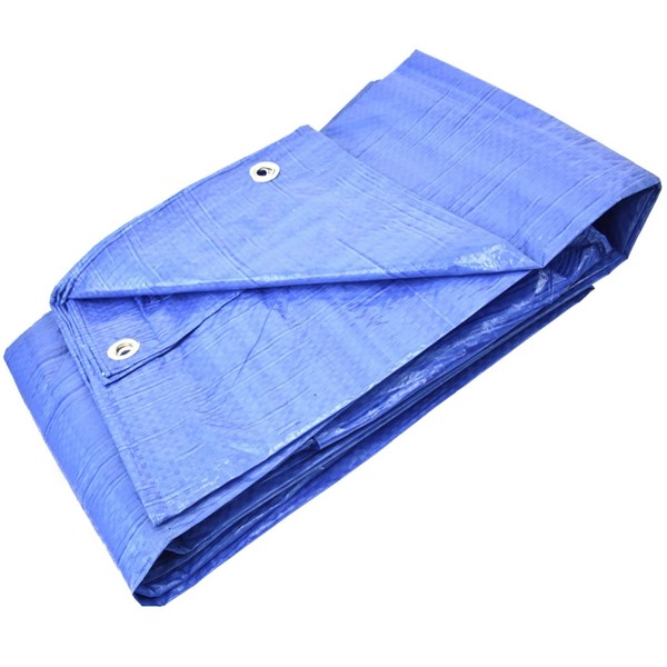 GARDENIX All-purpose tarpaulin, protective tarpaulin, blue, 60 g/m² (3 m