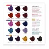 Color Tech Tinte Permanente Profesional Para Cabello Color Tech