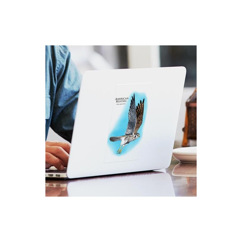 CafePress American Kestrel Rectangle Bumper Sticker Car Decal