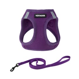Voyager Step-in Air Cat Leash Harness Set - All Weather Mesh, Step in Vest Harness for Small and Large Cats by Best Pet Supplies - Purple, M (Chest 15-17")