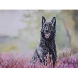 Clairefontaine - Ref 197022C - Pastelmat Card Sheets (Pack of 5 Sheets) - 360gsm Card - 24 x 32cm - Dark Green Colour - Specially Formulated For Use With Pastels