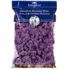 SuperMoss (25158) Reindeer Moss Preserved, Lavender, 8oz Bag