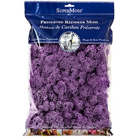 SuperMoss (25158) Reindeer Moss Preserved, Lavender, 8oz Bag