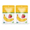 Nature’s Turn Freeze-Dried Fruit Snacks, Strawberry Banana Crisps, Pack of