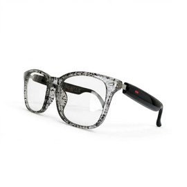 Fecoul AI Smart Translation Glasses