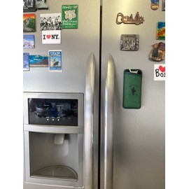 Durable Lightweight Magnetic Backed Sunglass Case (Green)