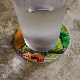 Colorful Tropical Rainforest Parrots Novelty Coaster Set