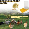 2 Pack Quail Waterer with Yellow Tray, 500ml Large Capacity