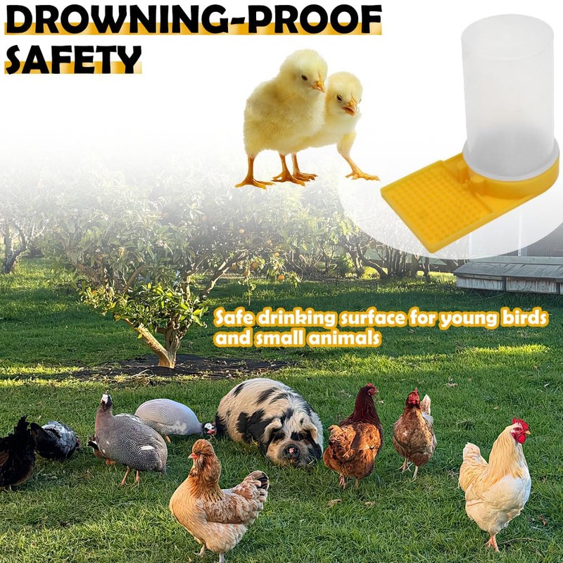 2 Pack Quail Waterer with Yellow Tray, 500ml Large Capacity