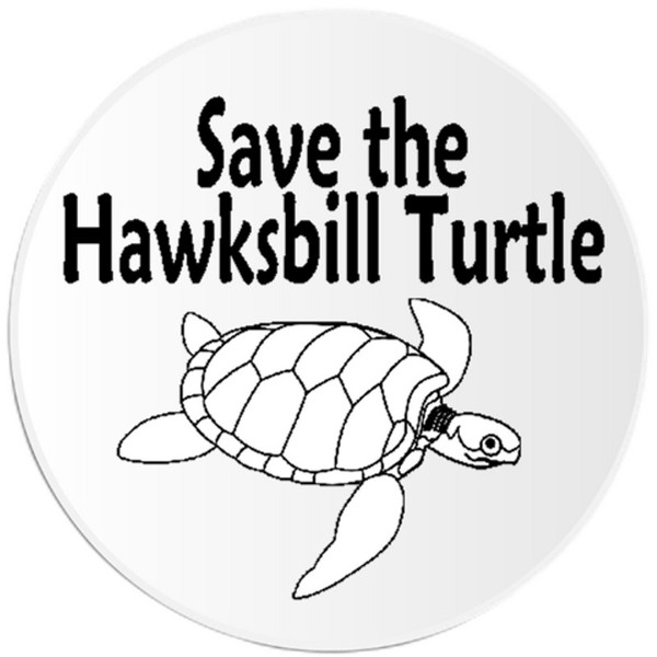 Kiwi Gifts Save The Hawksbill Turtle - 100 Pack Circle