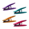 48 Clothes Pegs with Feathers Made of Rustproof Stainless Steel
