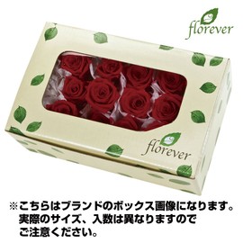 Flor Ever FL000291-001 Preserved Flowers, Andes Hydrangea, Pearl White, Approx. 0.7 oz (20 g), 0.7 oz (20 g)