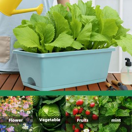 LOCONHA Window Box Planter, 12 Pack Plastic Vegetable Flower Planters Boxes 17 Inches Rectangular Flower Pots with Saucers for Indoor Outdoor Garden, Patio, Home Decor(Sky Blue)