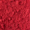 Paquete De 12 Sabores De Polvo Sazonador 100g
