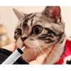 100ml syringe with 31.5 inch plastic tube for glue dispensing,