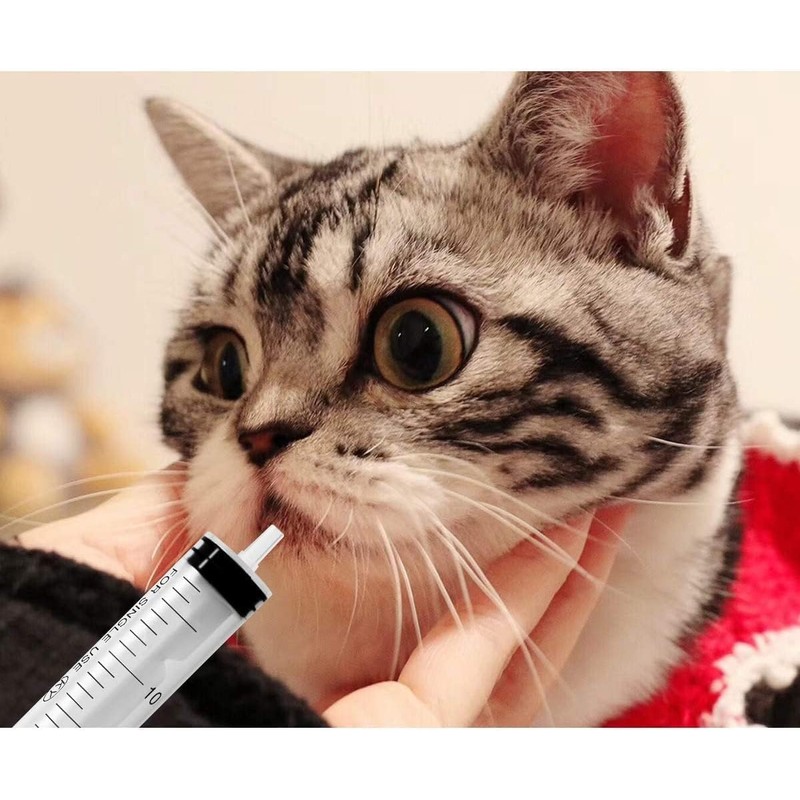 100ml syringe with 31.5 inch plastic tube for glue dispensing,