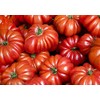 30 Costoluto Genovese Pomodoro Tomato Seeds, Heirloom Non-GMO, Low Acid,