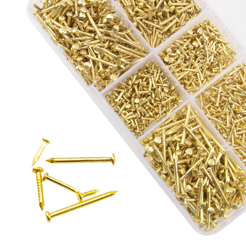 Rrina 1200Pcs Small Tiny Nails Carbon Steel Brass Plated for