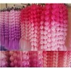 2 PACK Colorful Hair Extensions, POIUNA Upgrade 24" Long Braiding