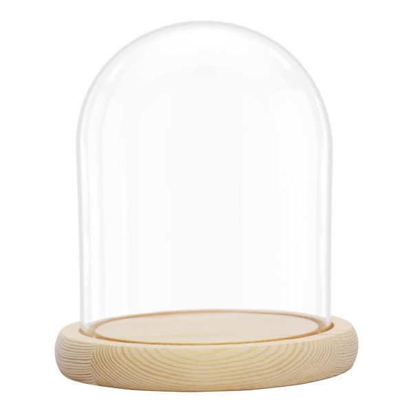BELLE VOUS Glass Dome Cloche Bell Jar with Natural Wooden