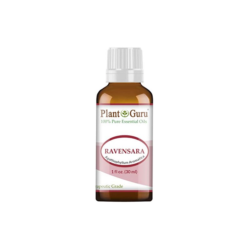 Wild Ravensara Essential Oil (Agathophyllum Aromatica Madagascar) 1 oz /