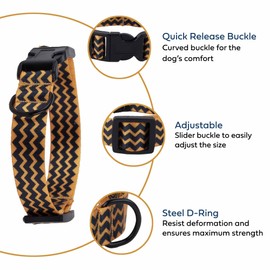 Hundehalsband für kleine und mittelgroße Hunde - Verstellbares Halsband aus Nylon (Charlie, M)