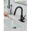 Black Bathroom Sink Faucet with Pull Out Sprayer for Sink