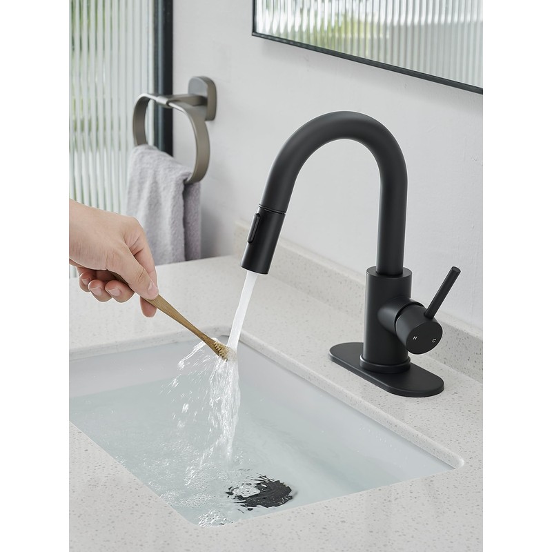 Black Bathroom Sink Faucet with Pull Out Sprayer for Sink