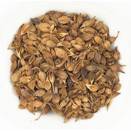 Natural Dry Wild Lian Qiao Fructus Forsythiae Fructus Forsyt 连翘 (4oz)
