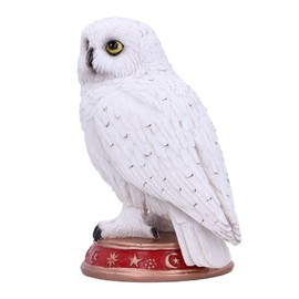 Nemesis Now Wizard's Familiar Owl Figurine, White, 10cm