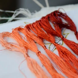 MINGGUXIUYI 6 Skeins Mulberry Silk Floss Embroidery Thread Floss-Cross Stitch Threads China Silk Woven Jewelry Threads DIY Sewing Kits (05)