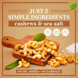 Oven Dry Roasted Fancy Cashews with Sea Salt-48 oz (3 lb) | Whole Cashews | No Oil | No PPO | Vegan and Keto Friendly | Made from Natural Cashews