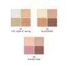 Lunasol Eye Coloration N 06 [Eye Shadow]