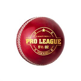 DSC Pro League Cricket Leather Ball | Color: Red | Better Shape Retention | Four-Piece Construction | Fine Quality | Pack of 1 | Playing Surface: Indoor/Outdoor | Durable and Long Lasting