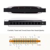 East top Diatonic Harmonica Key of C, 10 Holes 20