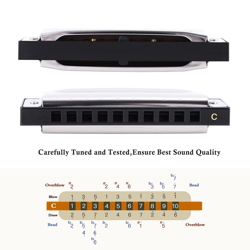 East top Diatonic Harmonica Key of C, 10 Holes 20