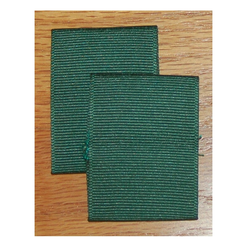 Unbranded BOY CUB SCOUT Pair Shoulder Loops Epaulet - HUNTER