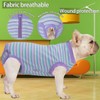 Wabdhally Dog Surgery Recovery Suit,Surgical Recovery Female Spay Suit for
