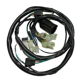 Goodfind68 New Wiring Harness Assembly Compatible with Honda Sportrax 400 TRX400EX 2005 2006 2007 32100-HN1-A40