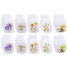 Dried Flower Bookmarks Penta Angel 20Pcs Bottle Shape Handmade DIY