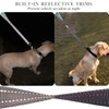 VIVAGLORY Short Dog Lead 24" Grey