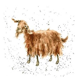 Wrendale Designs Artistic Blank Card (WRE-CS148) - The Hipster - Brown Shaggy Goat - Suitable for Birthdays and Other Occasions