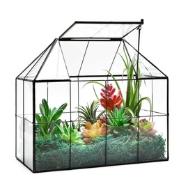 Large Glass Terrarium House Planter – Succulent Plant Glass Greenhouse with lid 9.8"X7.9"X5.9" NA