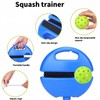 Wzenclave Pickleball Trainer Solo Practice Pickleball Rebounder with Adjustable String