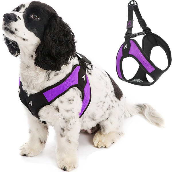 Gooby Escape Free Easy Fit Harness - Purple, Small -