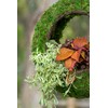 SuperMoss (56904) Sunrise Bird Feeder Hanging Outdoor Décor Handwoven Wicker
