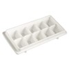 Ice Cube Tray, Large Size, 10