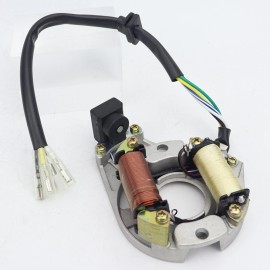 Soarider 2 Coil Stator 110cc for Taotao Quad Go Cart 4 Wheeler Dirt Bike Chinese Sunl JCL